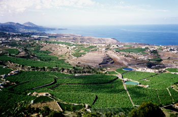 Strandurlaub Pauschalurlaub Gran Canaria Kanarische Inseln Spanien  1988