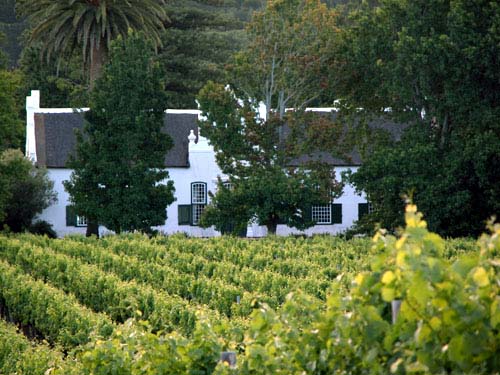 Fotos aus Südafrika, Weingut, Constantia, Buitenverwachting, Boschendal, Kapstadt