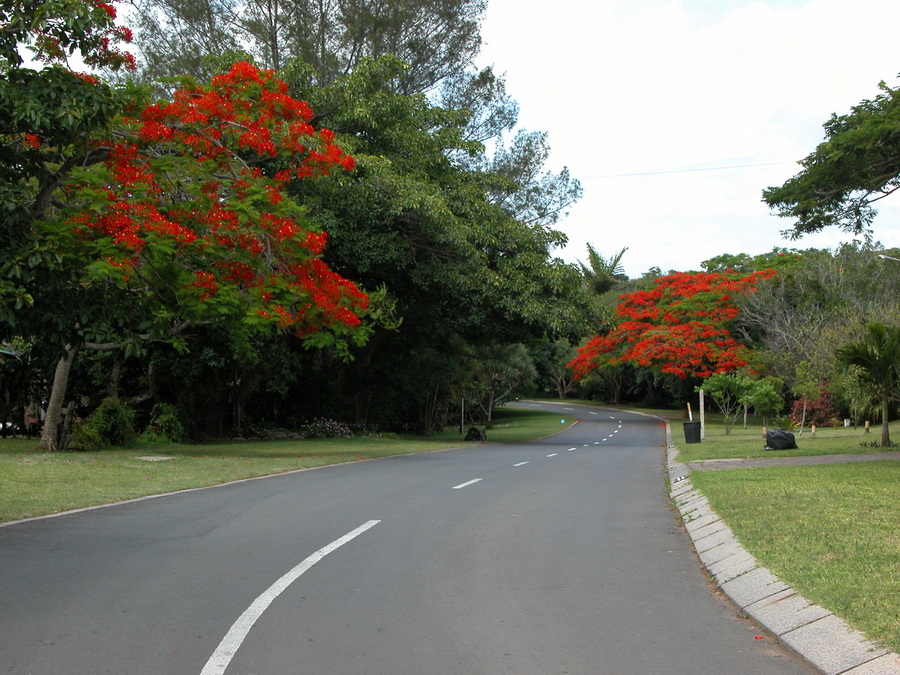 Santa Lucia - KwaZulu-Natal Südafrika