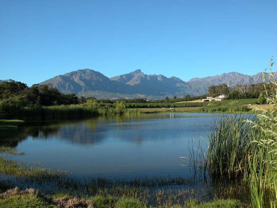 Übernachtung auf einem Wine Estate in Tulbagh - Hotel, Restaurant und Wine Cellar - Südafrika Reisebericht