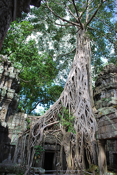 Die Tempel von Angkor