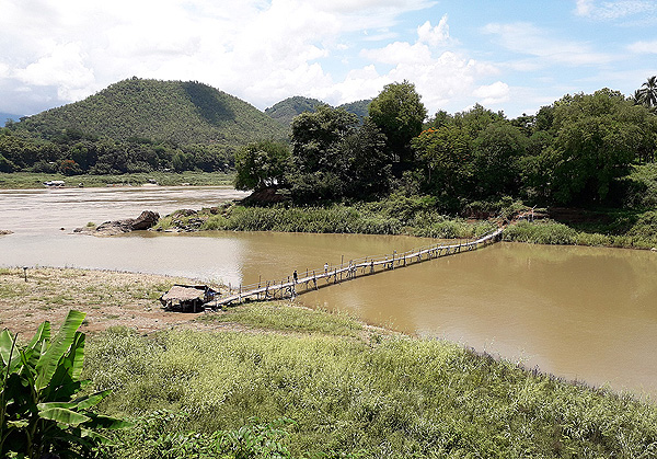 Bamboo Bridge